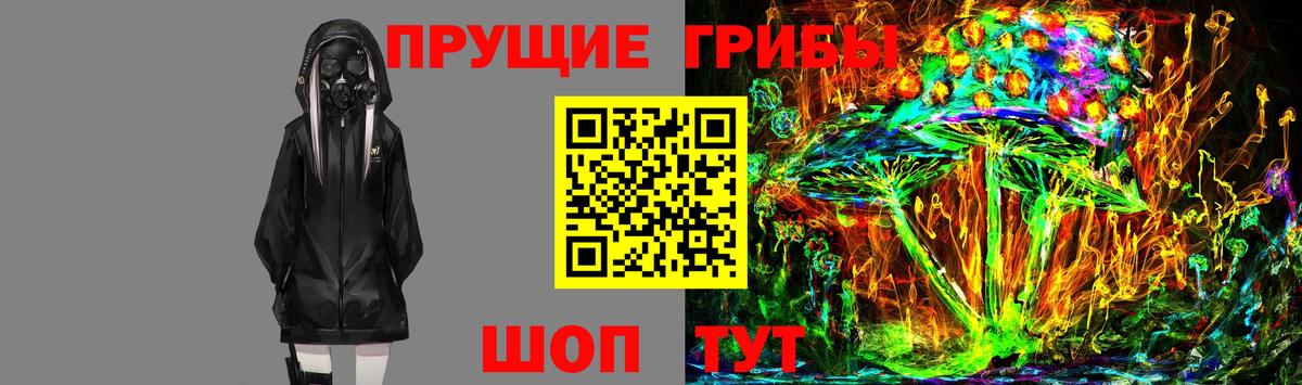 Сегежа  Галлюциногенные грибы Cubensis  Вход с VPN 