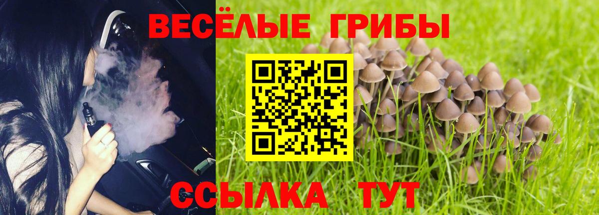 Галлюциногенные грибы Magic Shrooms Сегежа